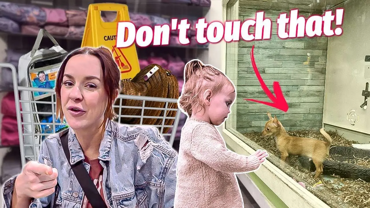 Don't Touch That! Exotic Wildlife Encounters